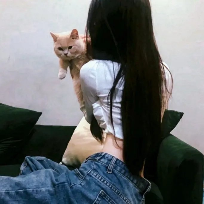 酷狗上学记